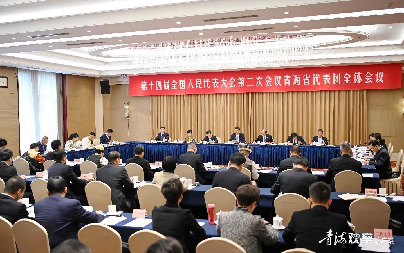 [青海观察]青海代表团举行全体会议 陈刚主持并讲话 吴晓军参加